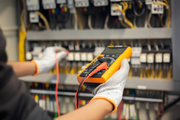 Best Electrical Panel Upgrades  in Keego Harbor, MI